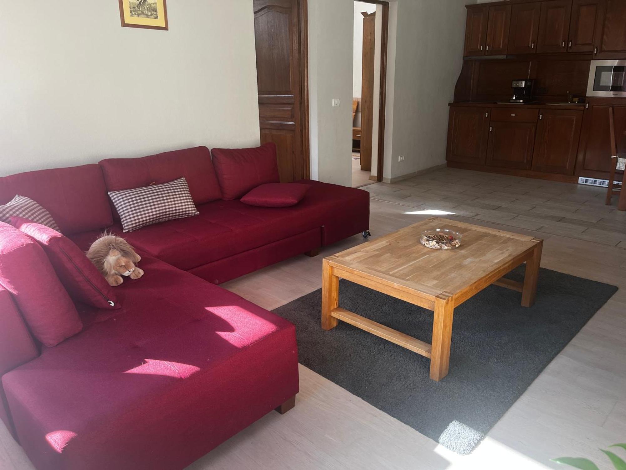 Cozy Apartment 브라쇼브 외부 사진